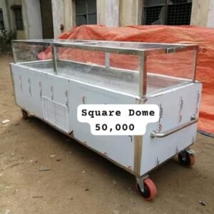 Dead Body Freezer Box Square Dome